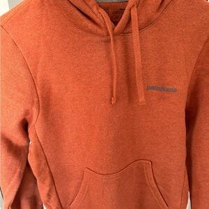 Patagonia Men's Rust Hoodie